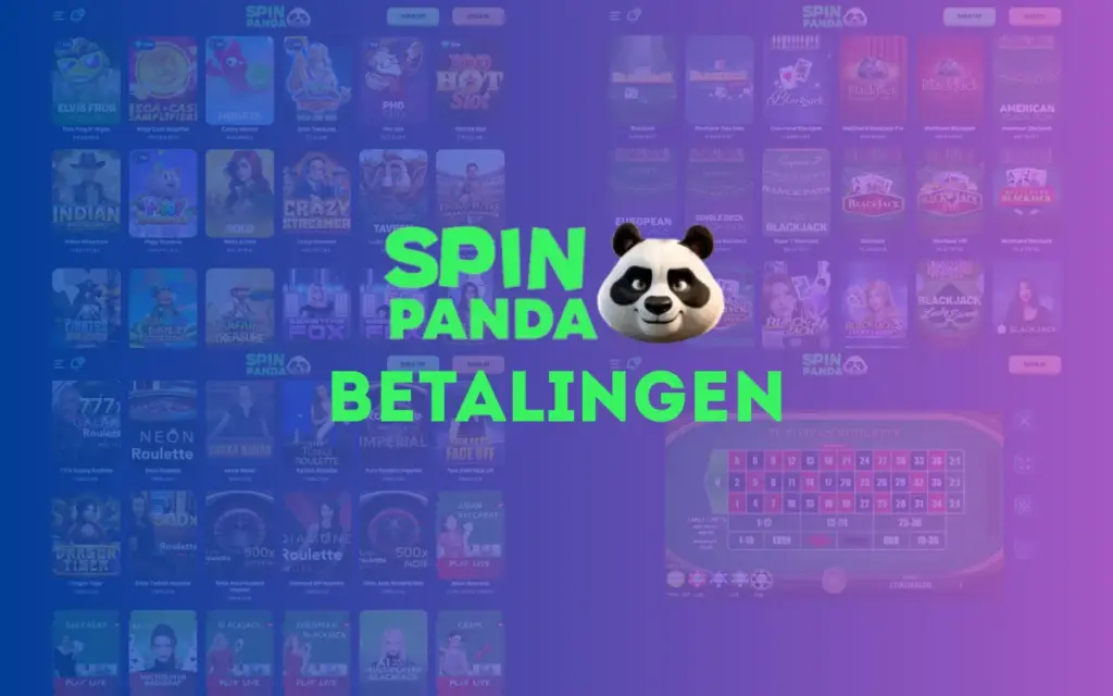 SpinPanda Casino Betalingslogo